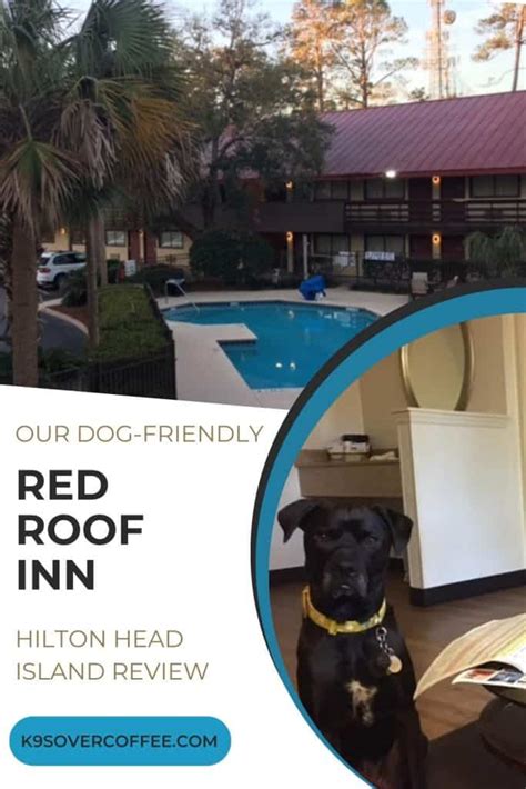 Dog Friendly Hilton Head Island, SC .
